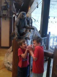 boys and monkey